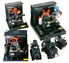 Camara frigorifica valencia